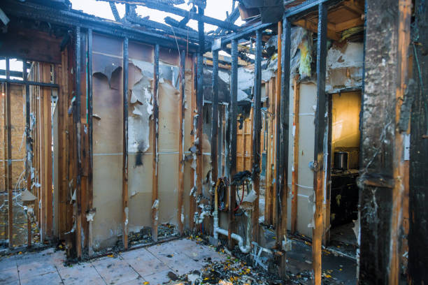 Professional Fire Damage Removal technician working in Newport, WA