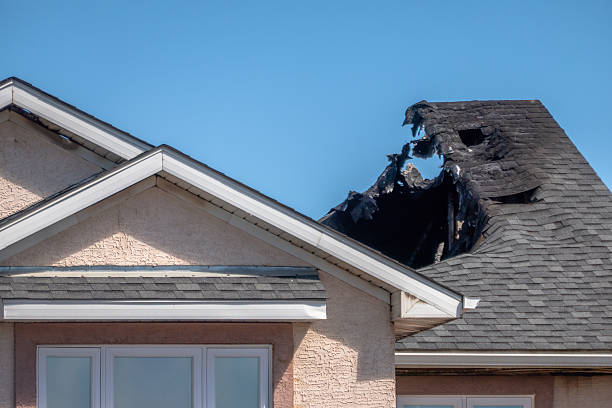 Top rated local Fire Damage Removal specialists in Newport, WA